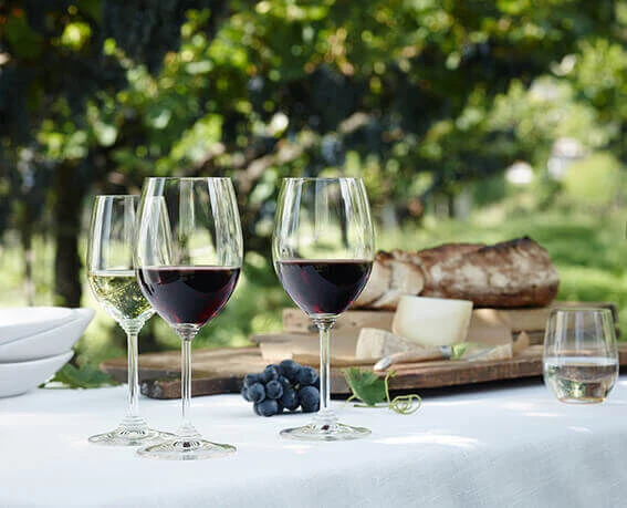 Riedel Vinum Riesling / Zinfandel wijnglas 400 ml kristalglas 2 stuks